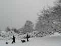 Snow, Blackheath P1070055